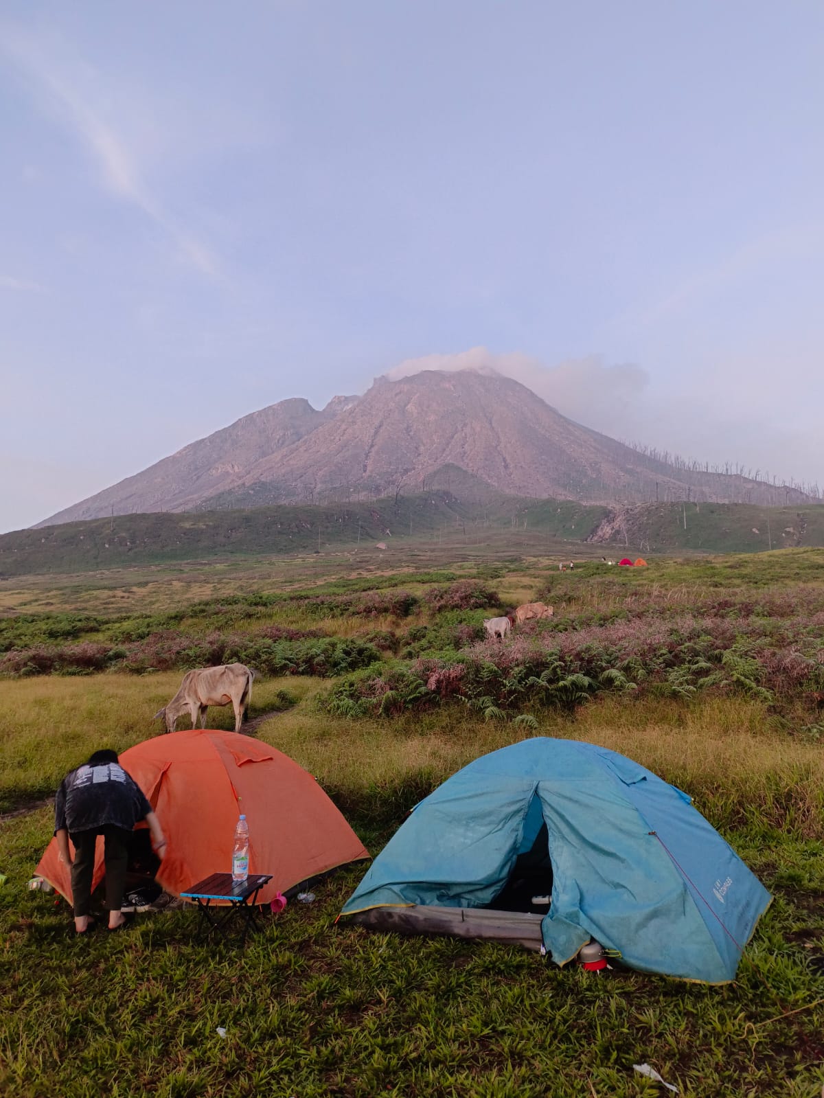 Sikabung